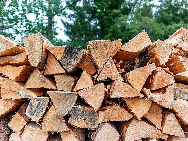 Stacked split firewood