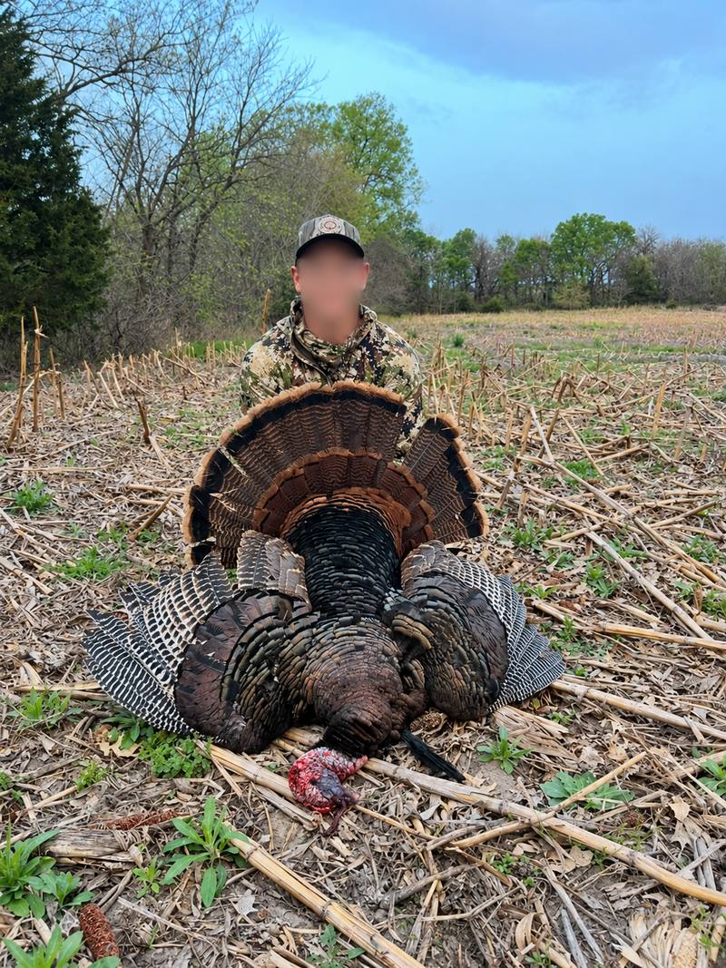 Hunter with a spring gobbler