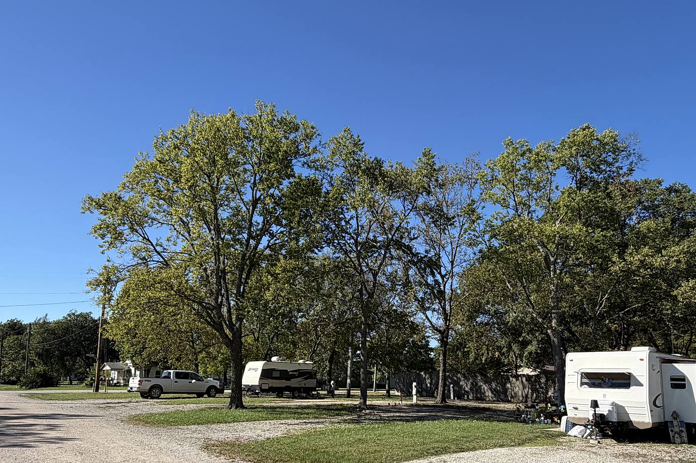 Shaded sites along the drive