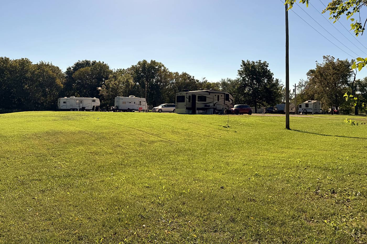 Big grassy area out back for kids and dogs